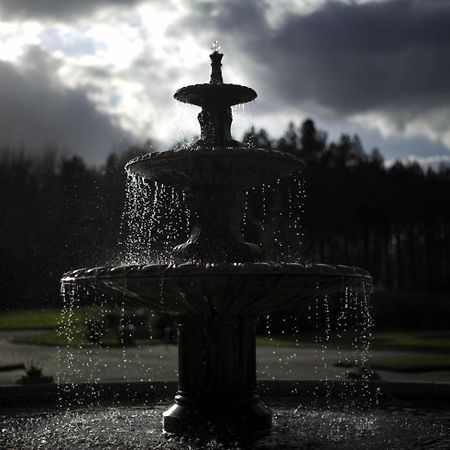 Daresbury Park Hotel & Spa Εξωτερικό φωτογραφία
